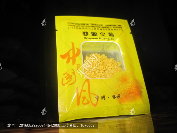 金絲皇菊