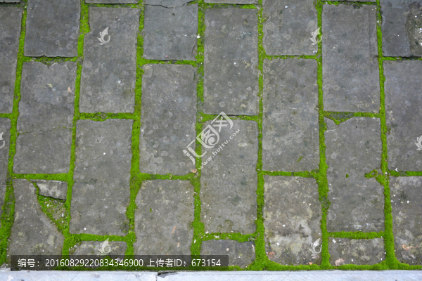 青苔路面