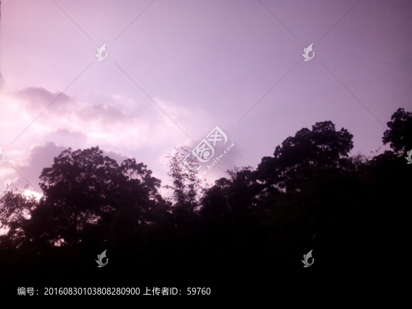 天空與樹(shù)影