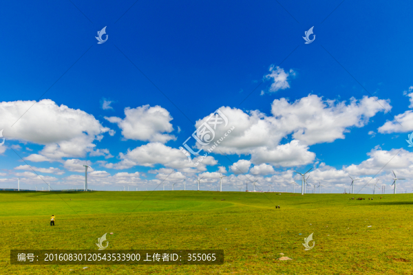 內(nèi)蒙