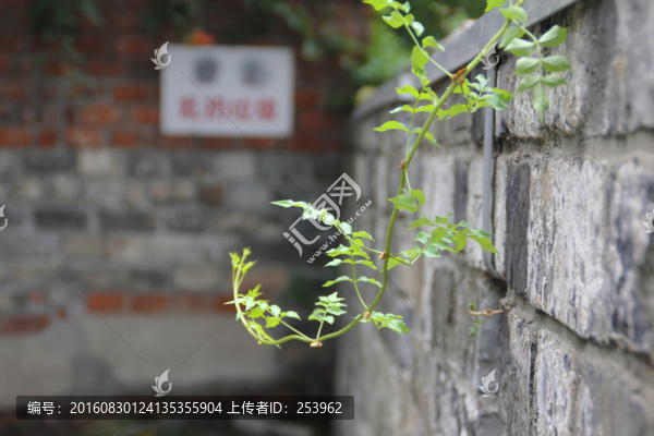 城墻