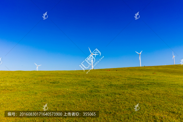 內(nèi)蒙