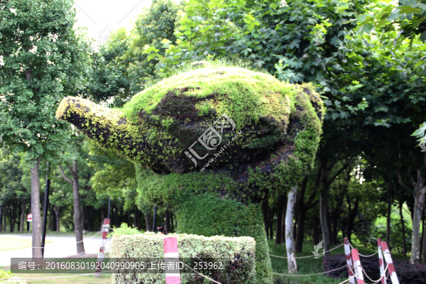 植物造型
