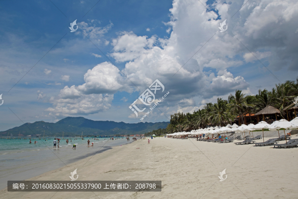 夏日海灘
