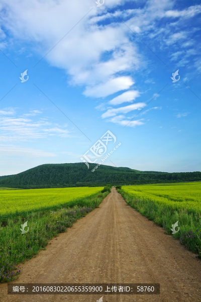 鄉(xiāng)村公路