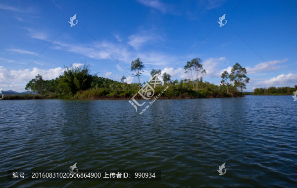 胡泊,水庫,水面