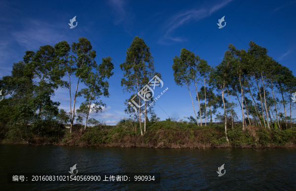水庫,胡泊,青山綠水