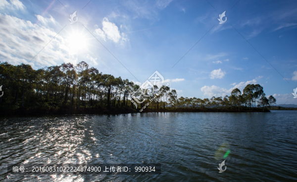 水庫,胡泊,青山綠水