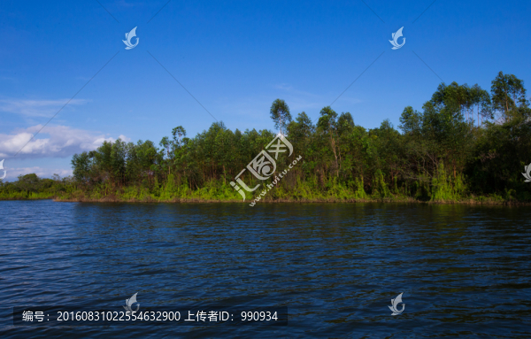 水庫,胡泊,青山綠水