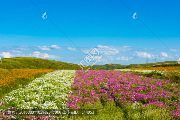 鮮花