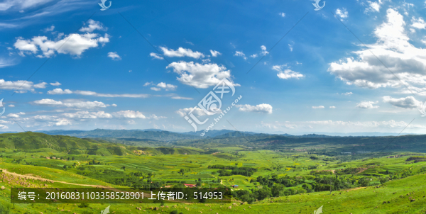 草原全景