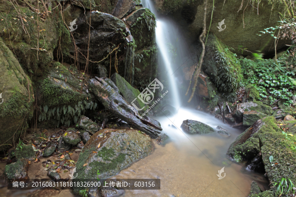 勐準溪流