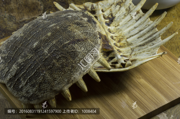 中藥鱉甲