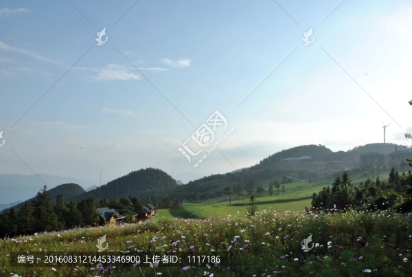 云陽高山草場