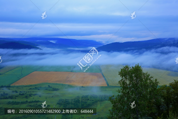 山林晨霧