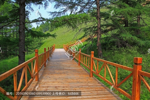 木棧道