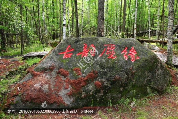 森林奇石