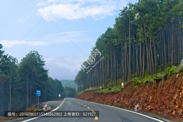 晨霧中的鄉(xiāng)村公路