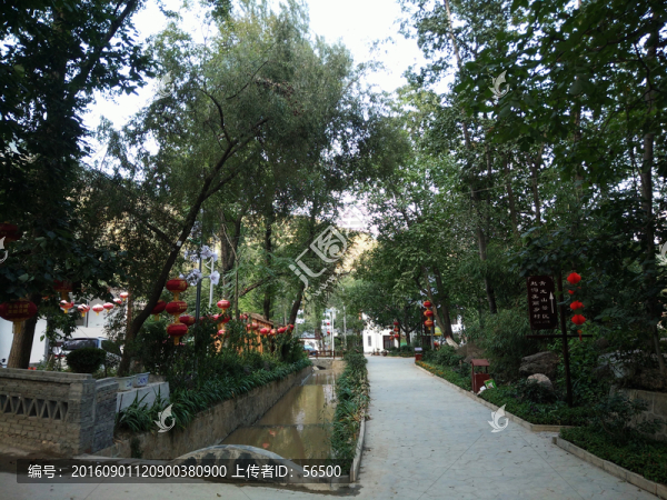 農(nóng)家小路