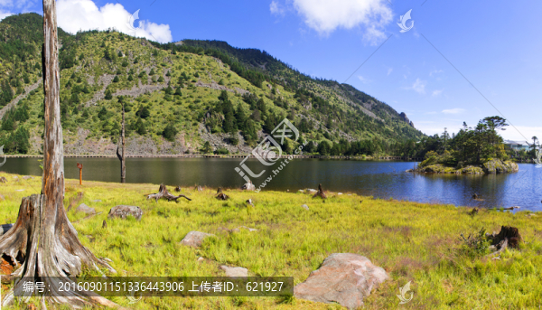 高原濕地全景圖