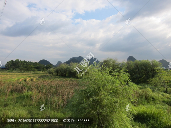 田園風(fēng)光