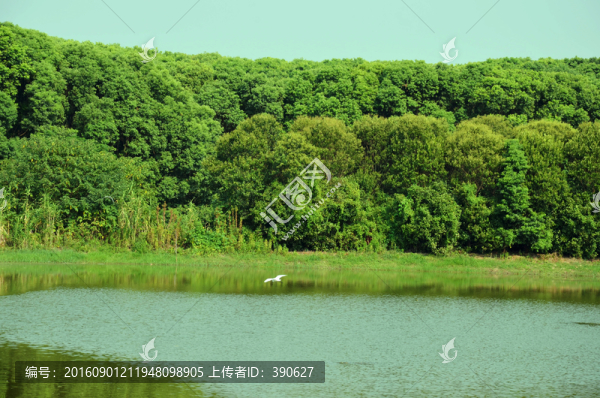 森林公園