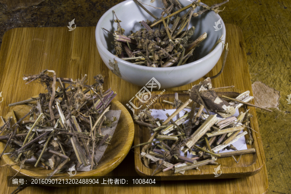 荊芥中藥素材