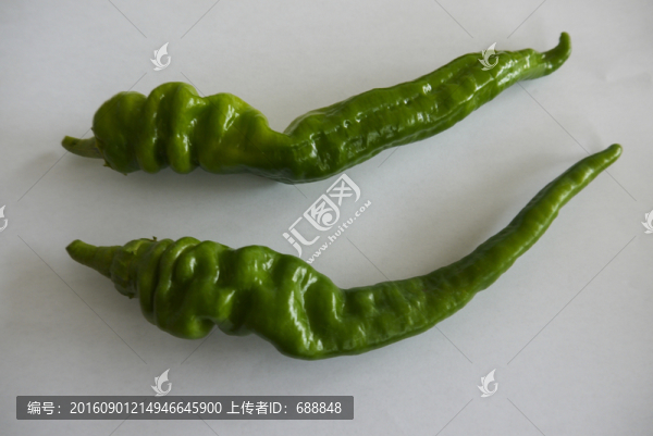 青辣椒