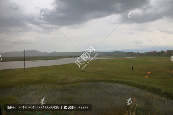 河岸濕地