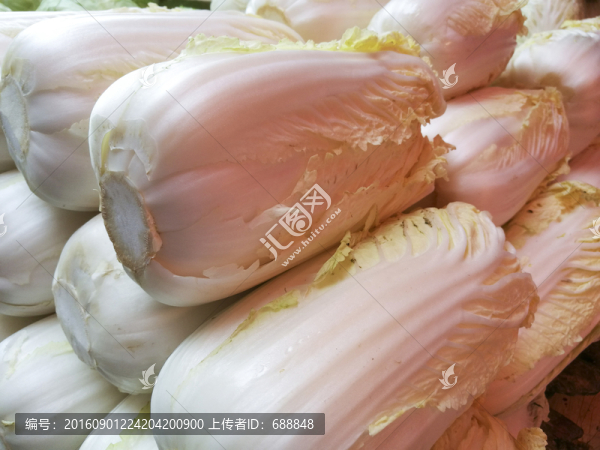 大白菜