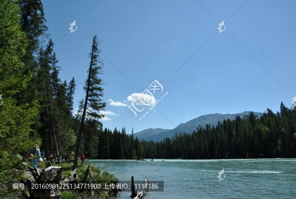 新疆喀納斯風景