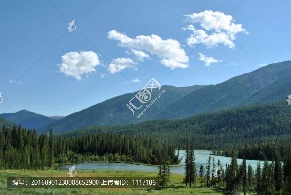 新疆喀納斯風景