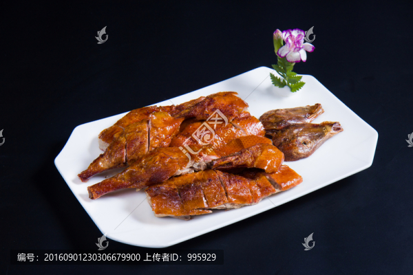 小刀鴨