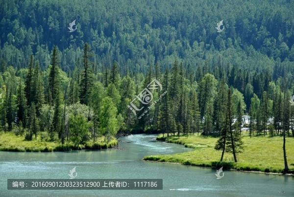 新疆喀納斯風景