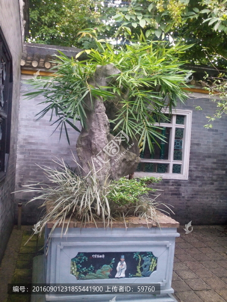 盆景造型