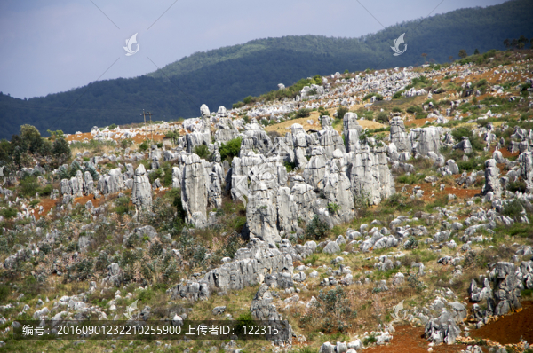 石林風(fēng)景名勝區(qū)