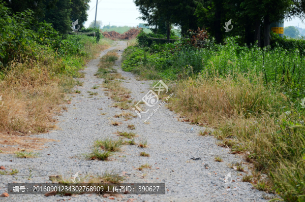 鄉(xiāng)村道路