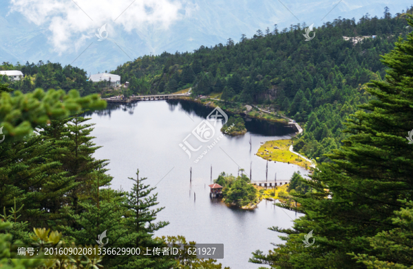 高山濕地