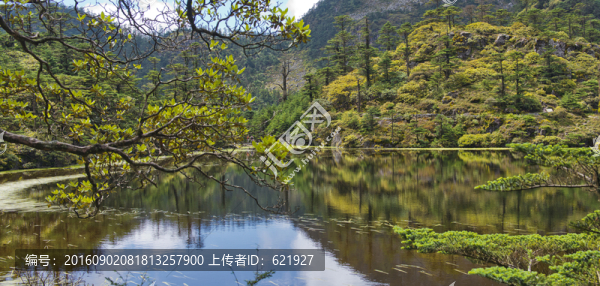 高山濕地