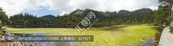 仙草胡全景圖