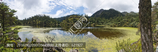 仙草胡全景圖