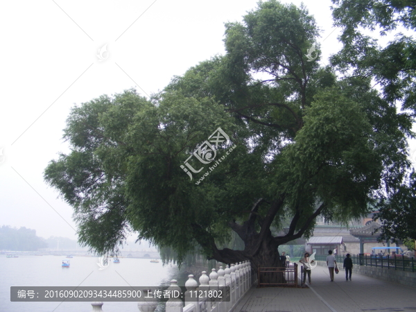 北海公園