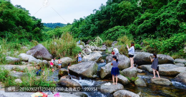山泉,溪流,溪水