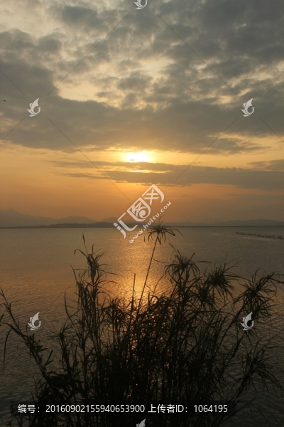 夕陽
