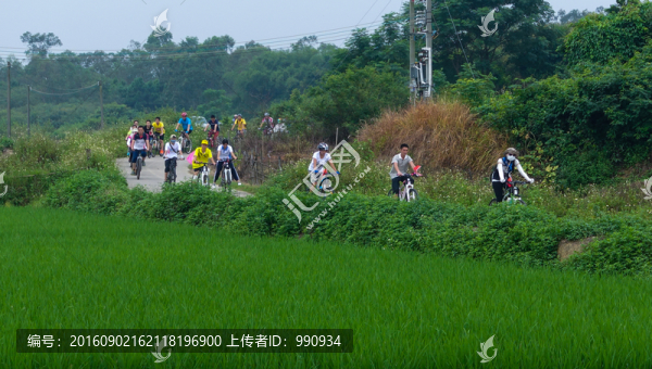 自行車游,綠道,鄉(xiāng)村游