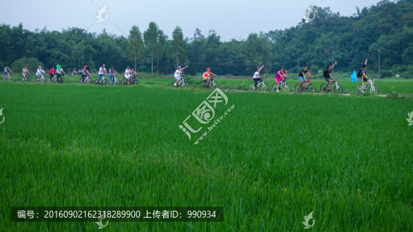 自行車,戶外騎行
