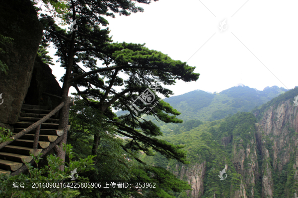 黃山