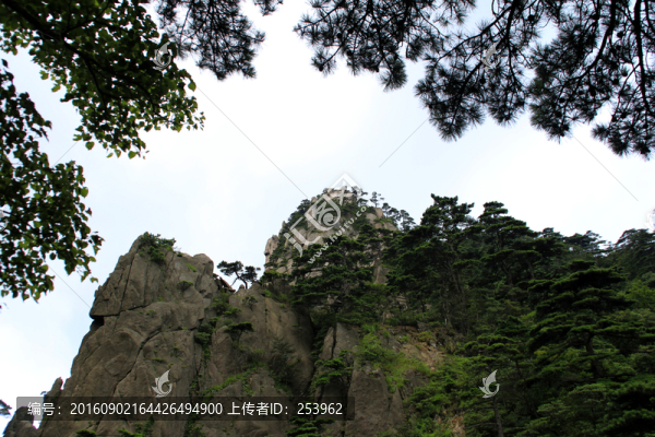 黃山