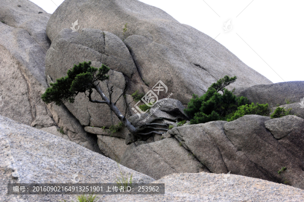 黃山