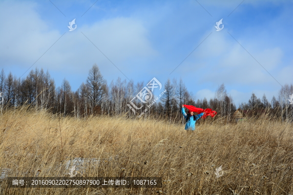 荒野
